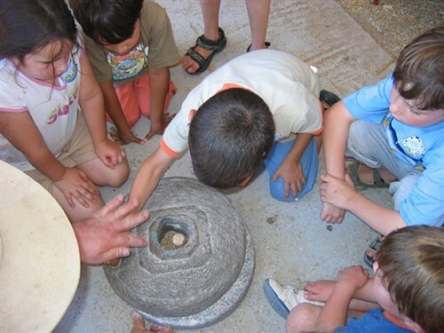 שביל פרות החלב